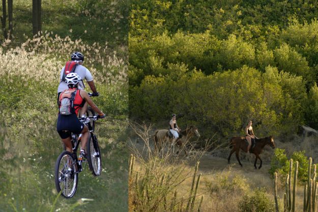 Cycling at the Lottery Farm | Horse Back Riding in Quai Bay