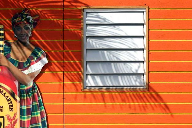 Guavabery Wall - Philipsburg